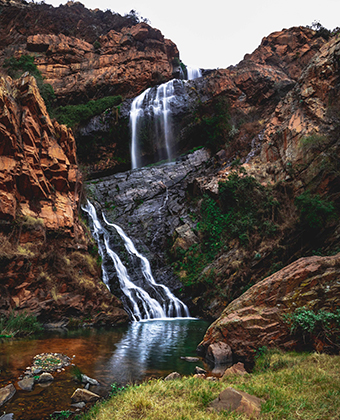 Read more about the article Walter Sisulu Botanical Gardens